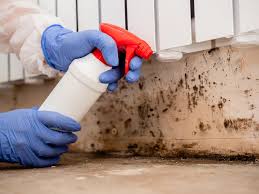 Best Biohazard Mold Removal  in Menasha, WI